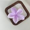 Cor Snub Dye Flor de Lírio Flor de Ovo Prendedor Simples Elegante Prendedor de Nuca Prendedor de Tubarão Versátil Estilo Praia Mulheres