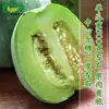 Semillas de Melón Tianbao Meiyu Huerto de Granja Maduración Temprana Pulpa Gruesa Crujiente Dulce Verde Semillas de Melón Tianbao