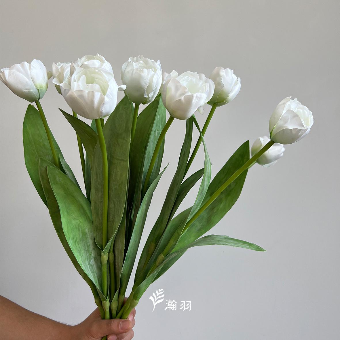 白4