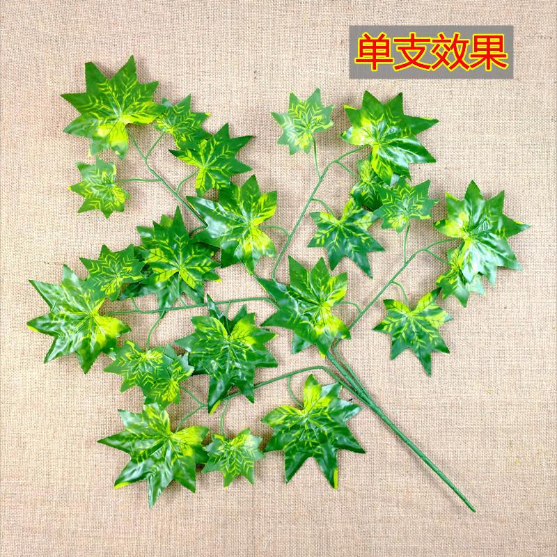 详情6.jpg