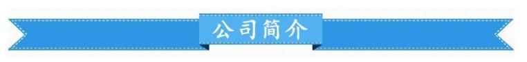 公司介绍标题栏