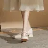 Zapatos para Mujer Jin Gang MY4516 Mary Jane de Tacón Grueso 2024 Nuevos Zapatos de Cuero Primavera y Otoño Zapatos de Tacón Alto Boca Baja para Mujer