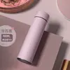 Taza termo inteligente con separación de té, acero inoxidable 316, taza de té para niños, taza de regalo de alto valor cromático, personalización