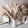 Ramo de flores secas al por mayor, pequeña caña, cola de conejo, hierba de las pampas, decoración del hogar, fábrica de bodas
