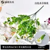 Flores Artificiais Amazon Eucalipto Buquê de Chá Plantas Verdes Varanda Externa Decoração de Casa Gipsofila Buquê Pequeno Margaridas