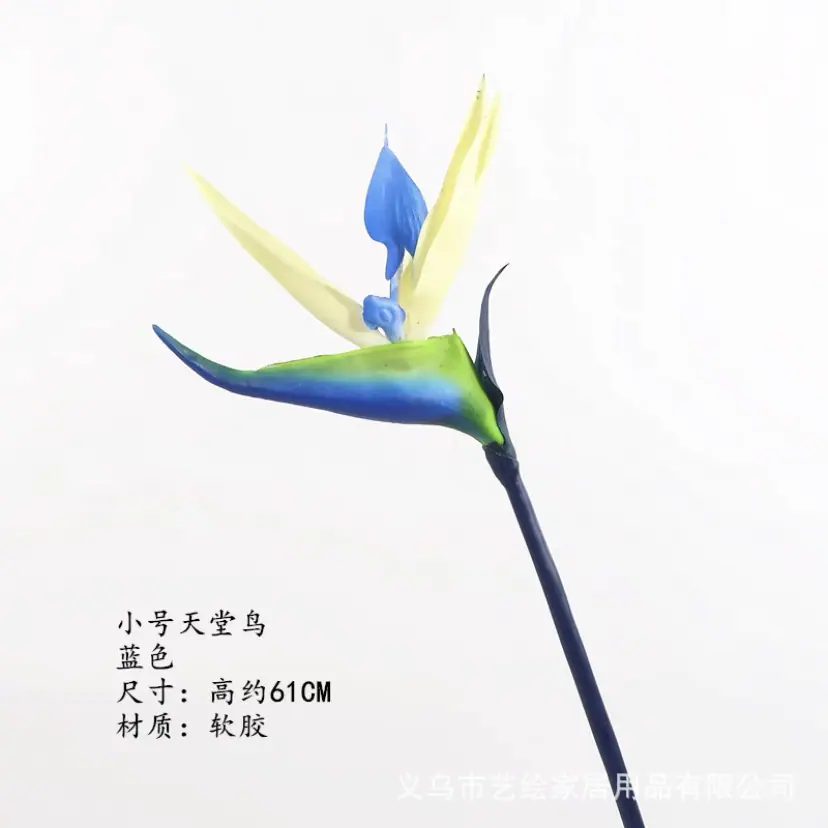 IMG_4083.PNG