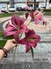 Impressão 3D simulação 3 cabeças Lírio Perfumado fábrica de comércio exterior Branco verde decoração de casamento fotografia flor artificial atacado