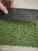 Grama Artificial para Campo de Futebol de Jardim de Infância Playground Escolar Playground Infantil Pátio Varanda Campo de Futebol Grama Especial