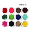 Arte de Uñas 12 Colores Purpurina Color Rex Perlas Lentejuelas Pequeñas Polvo de Concha Papel de Concha Terciopelo Polvo Mixto Grueso