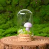 Cristal Natural Piedra Cruda Adorno Pequeño Hongo Micro-Paisaje Espécimen Mineral Educación Científica para Niños Regalo de Vacaciones Decoración de Escritorio