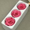 Rosa eterna de 5-6 cm, caja completa de 8 flores preservadas, paquete de materiales para bricolaje, flores colgantes para coche, cubierta de vidrio