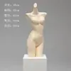 Accesorios de Modelo de Ropa Interior Torso Femenino Masculino Soportes de Exhibición de Ventana de Plástico Maniquí Apilamiento de Pecho De Zhu
