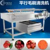 Máquina lavadora de cepillo para limpieza de lodo de ostra y vieira Temai, rodillo de pelo para frutas y verduras paralelo, máquina lavadora peladora en stock, suministro