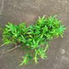 Tuya Ramas de Pino de Bienvenida Tuya Taihang Ramas en Maceta Decoración de Paisaje de Árbol Muerto Hojas de Pino de Plástico
