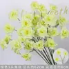 Verdor para Bodas Hierba Barba de Dragón Verdadero Hierba Espárrago Bosque Blanco Verde Estilo Decoración Fondo Colgante Arreglo Floral Decoración de Carretera Flores Artificiales