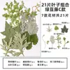 Espécimes de Plantas com Folhas Reais de Outono, Adesivos Artesanais, Flores Secas, Flores Prensadas, Pinturas Decorativas de Folhas DIY, Marcadores de Página de Plantas