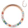 Anillo de Nariz y Pendientes de Aleación de Titanio F136 de Superficie Plana Incrustados con Circonio de Color y Diamantes, Joyería para Piercing Transfronteriza