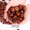 Yunnan Indonesia Fruta Negra Árbol de la Campana Cáscara de Fruta Natural Carrillón de Viento Colgante de Planta Paquete de Materiales Hecho a Mano DIY Adorno Colgante Venta al por Mayor