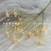 Simulação Gypsophila colorido pequeno buquê fresco de flores com decoração de casamento noiva segurando flores simulação sentir Gypsophila