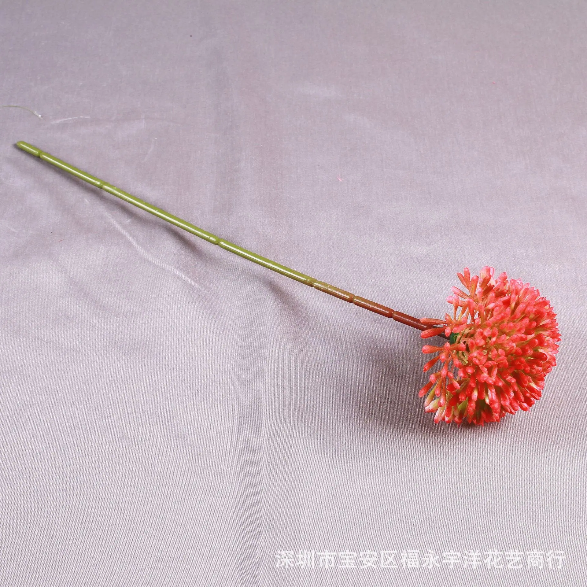 IMG_8589_副本.jpg