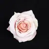 Rosas artificiais para decoração de cena de casamento e confissão, decoração externa, cabeças de flores de seda, rosas artificiais no atacado