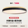 Luz de Techo para Dormitorio Ziyou Minimalista Italiano Creativo Gama Alta Nueva Simple Protección Ocular Luz para Estudio Dormitorio Principal Hierro Otro