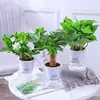 Plantas em vaso como rabanete verde, árvore da fortuna, samambaia-de-aspargo, suculentas, hortelã de interior, bambu da sorte e pequenas plantas verdes hidropônicas são fáceis de cuidar