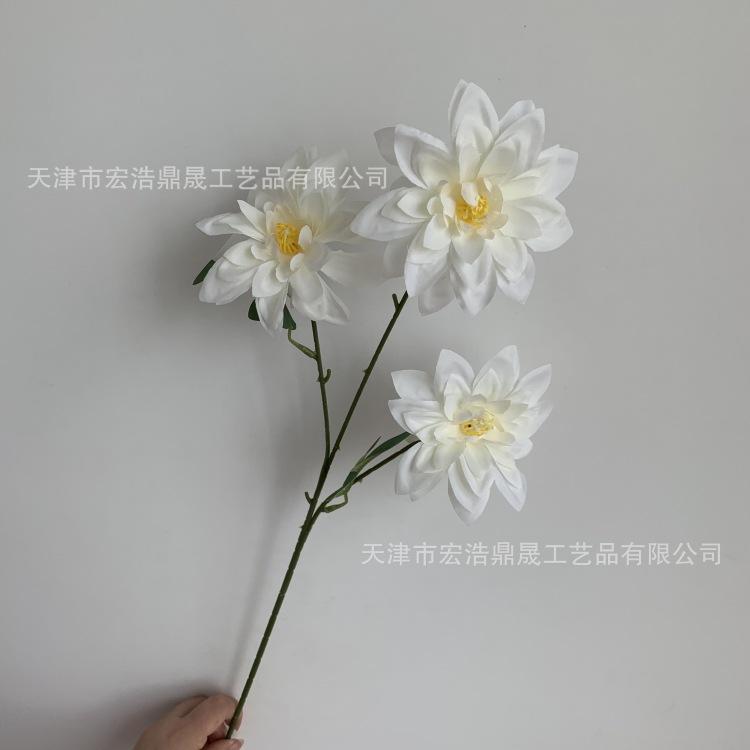 微信图片_20230811172726_副本