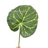 Decoración de flores artificiales para boda transfronteriza planta verde al por mayor pieza única simulación hoja verde hoja de tortuga planta adornos para sala de estar en casa