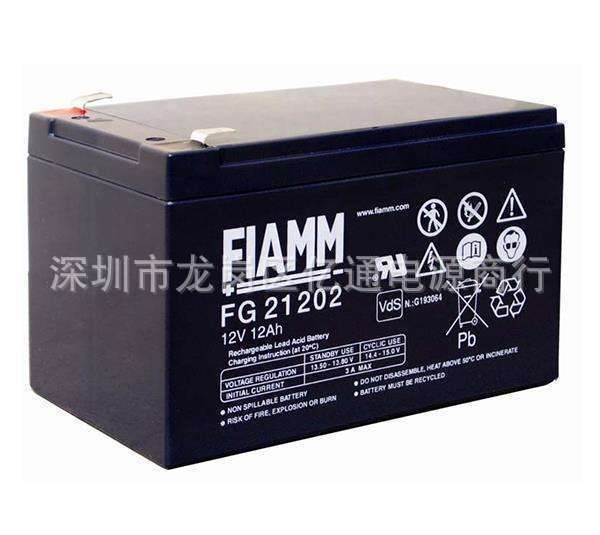 FG21202  12V12.jpg