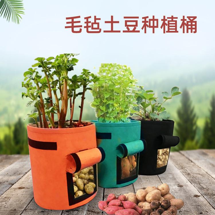 1614414458002_副本