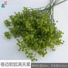 Único ramo de plástico estrelado cola macia estrelado decoração de salão de casamento flor artificial arco de casamento arranjo de flores flor de seda