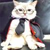 Muñeco de Felpa Estilo Nuevo Gato y Perro Linda Capa, Transformación Elegante en Traje de Capa de la Academia de Magia Harry Potter