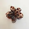 Presilha de Cabelo Flor de Plumeria Colorida Transfronteiriça da Amazon Clip Shark Elegante Vintage Feminino para Meio da Cabeça