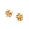 Pendientes de Fuegos Artificiales Vintage de Nueva Moda Francesa Incrustados con Diamantes Cobre Chapado en Oro Real Aguja de Plata 925 Pendientes Elegantes de Verano para Todo