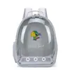 Hola Brid Suministro Directo de Fábrica Bolsa para Loro Bolsa para Pájaro Transparente Transpirable Todas las Estaciones Loro Pequeño Sol Periquito Mochila