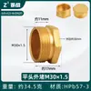 Conector de Cobre de 4 Puntos con Rosca Externa Hexagonal, Tapón Antiexplosión, Tapa de Enchufe de 6 Puntas, Tapón Ciego de Rosca Interna de 1 pulgada, Tapón de Tubería, Tapa de Tapón para Tubería de Agua