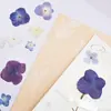Funda de Teléfono de Resina con Flor de Hortensia, Marco de Fotos con Flor Prensada de Espécimen de Enseñanza Botánica, Materiales de Flores Prensadas, Arte de Flores Prensadas DIY