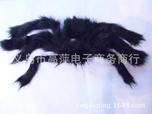 50.10蜘蛛