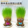 Muñeca Cabeza de Pasto Venta al Mayoreo Muñeca de Pasto Largo Muñeca Floreciente Plantas Verdes en Maceta Pequeña para Niños Plantas Hidropónicas Tienda de Dos Pesos Regalos