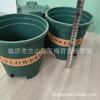 Maceta de 1.3L Galón Verde Militar Maceta Simple de Resina Maceta para Plantas Verdes Domésticas Suministro de Tienda de un Dólar
