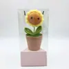 Caixa Triangular Transparente para Flores de Pet para o Dia da Mulher, Dia das Mães, Dia dos Professores, Dia dos Namorados e Caixas de Presente para Flores