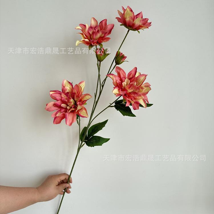 微信图片_202305251523311_副本