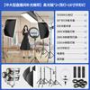 Luz de relleno de alta potencia en el estudio, rejilla profunda, luz de fotografía constante, equipo de iluminación de estudio HD de 250W