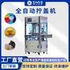 Máquina de Selagem Contínua Totalmente Automática, Seladora de Tampa de Garrafa, Máquina Automática de Tampar Garrafa Plástica com Tampa de Alumínio, Máquina de Tampar e Rosquear, Máquina de Rosquear