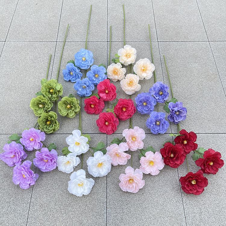 主图 林溪郡.JPG