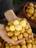 Patatas Pequeñas Enshi Frescas Ricas en Selenio 20 kg Corazón Amarillo Patatas Pequeñas Comerciales Mini Patatas Alpinas Patatas Perla