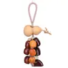 Kit de Materiais para Sino de Vento Criativo com Casca de Fruta Natural DIY Enfeite para Pendurar no Carro Artesanato Pai e Filho Sino de Sementes Bolsa Pingente