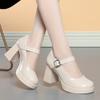 Tacones de Plataforma Impermeables Versátiles Nuevo Estilo 2025 Zapato de Correa Única de Cuero Zapatos de Mujer de Suela Gruesa Mary Jane Primavera y Verano
