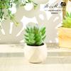 Bonsái de Suculenta Artificial Adornos Pequeños Creativos Flores Artificiales de Escritorio Flores Artificiales de Amazon Venta Caliente Transfronteriza Plantas Simuladas en Maceta